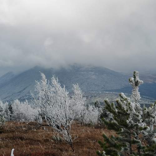 Photo #12650918
