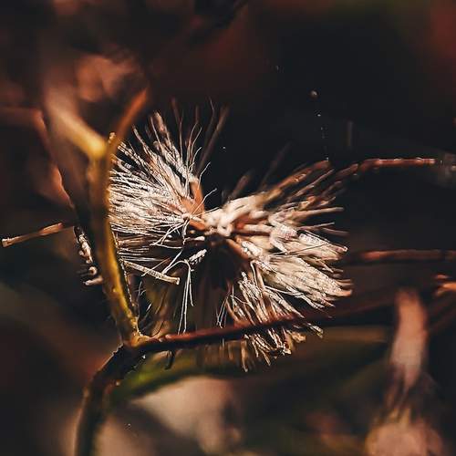 Photo #12651005