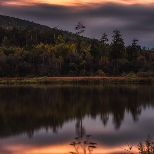 Photo #12651145