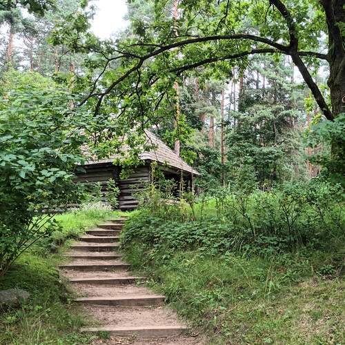 Photo #12651172