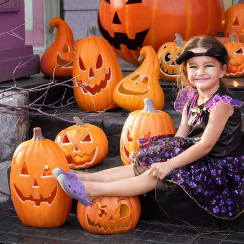 Photo #12651703