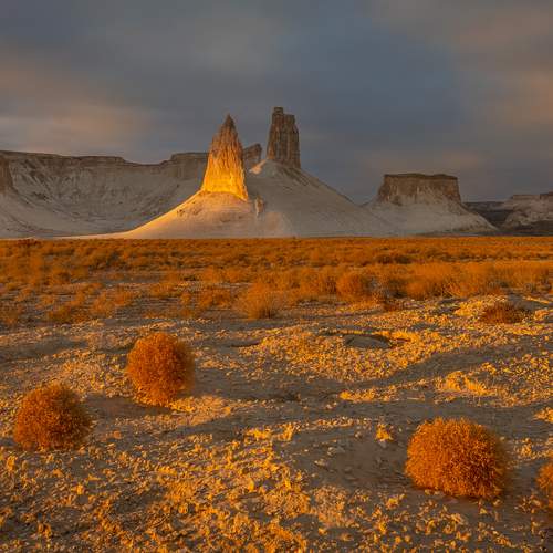 Photo #12651778