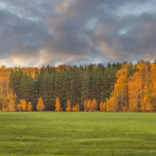 Photo #12652903