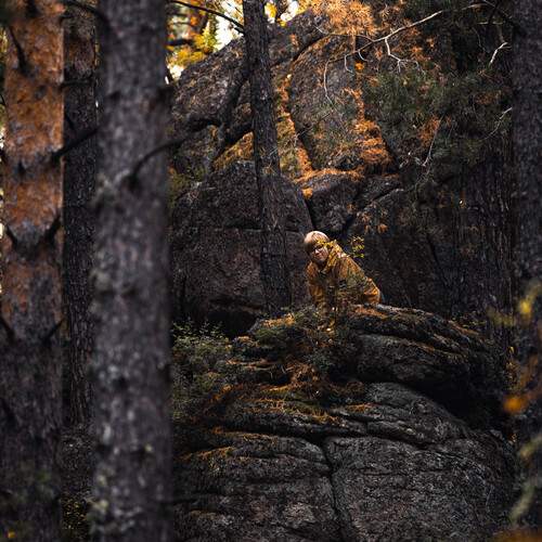 Photo #12653345