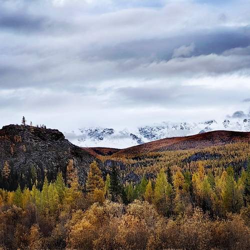 Photo #12653355