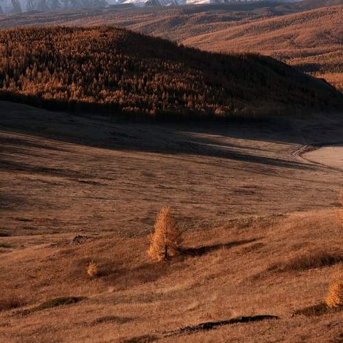 Photo #12653586