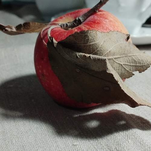 Photo #12654347