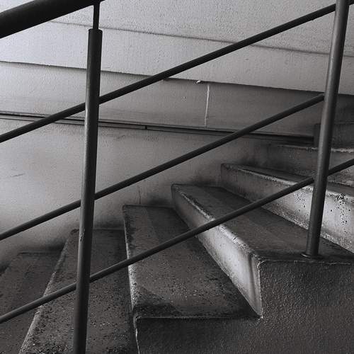 Photo #12655113