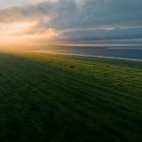 Photo #12655489