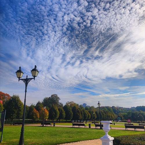 Photo #12655558