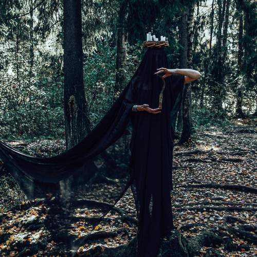Photo #12655786
