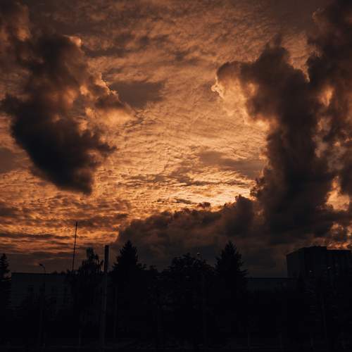 Photo #12655805