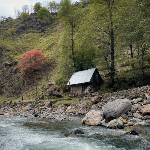 Photo #12655985