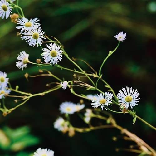Photo #12656334