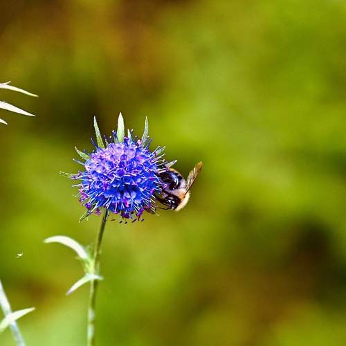 Photo #12656336