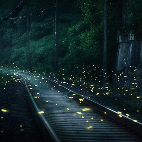 Фотография #12656675