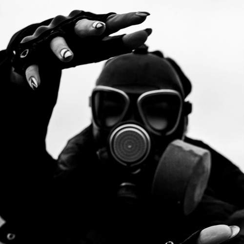 Photo #12657427
