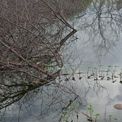 Photo #12657634