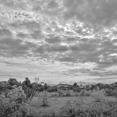 Photo #12657636