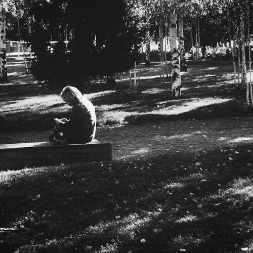 Photo #12657727