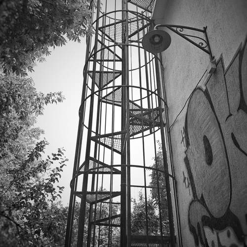 Photo #12658230