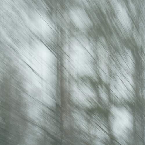 Photo #12658335