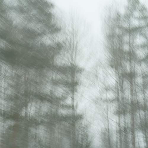 Photo #12658336