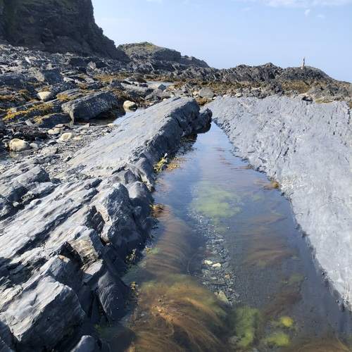 Photo #12658458