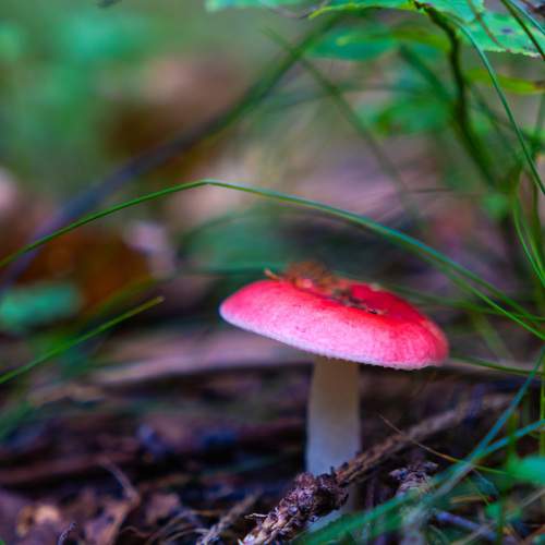 Photo #12658863
