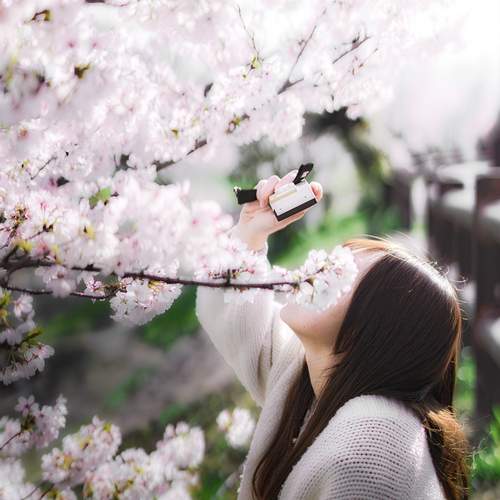 Photo #12659201