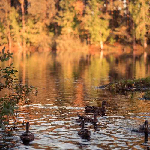 Фотография #12659250