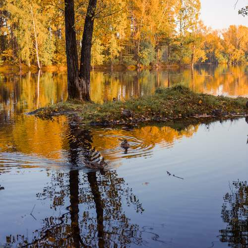 Фотография #12659251