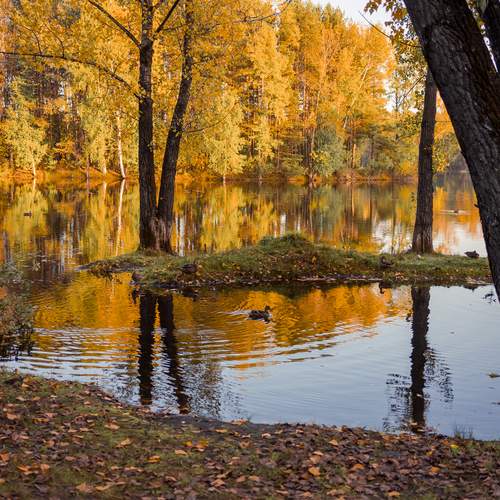 Фотография #12659252