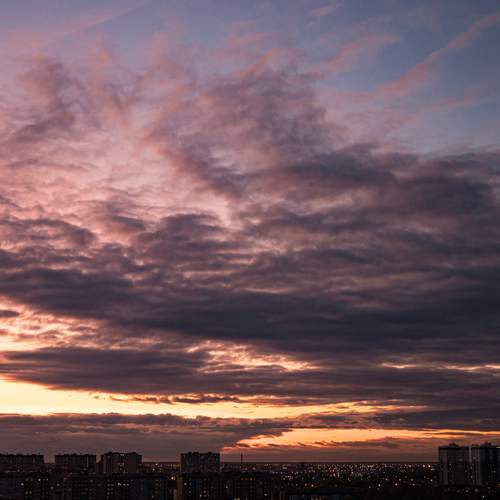 Photo #12659527