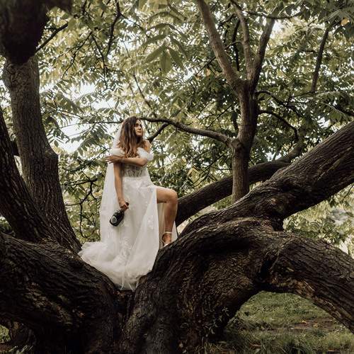 Photo #12659652