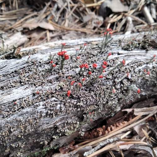 Photo #12659952