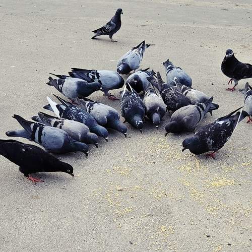 Photo #12659960