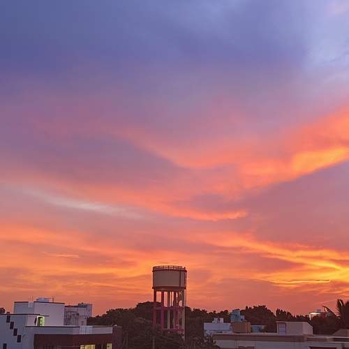 Photo #12660112