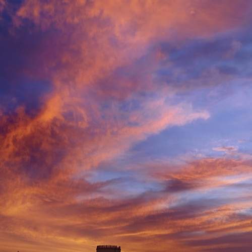 Photo #12660114