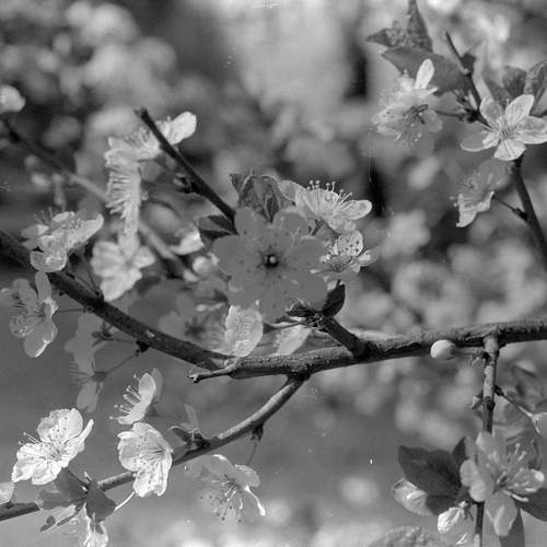 Photo #12660729
