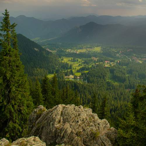 Photo #12660845