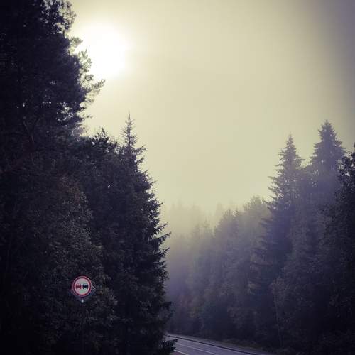 Photo #12661152