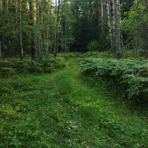 Photo #12661223