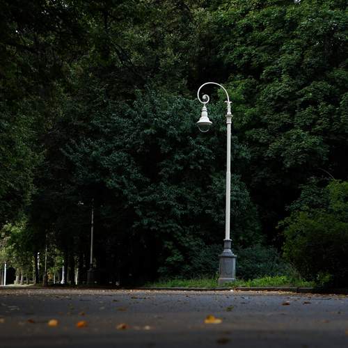 Photo #12661297