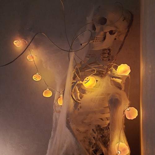 Photo #12661520