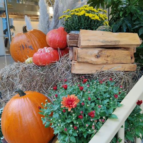 Photo #12661932