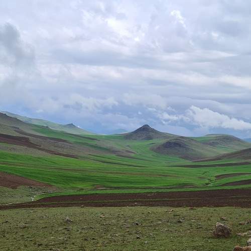 Photo #12662072