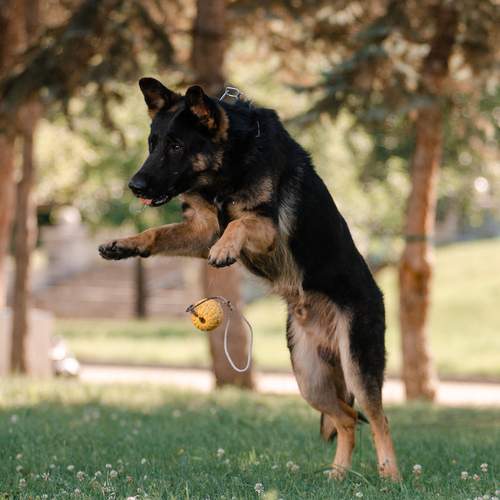 Photo #12662448