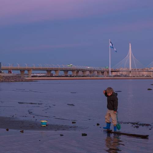 Photo #12662717