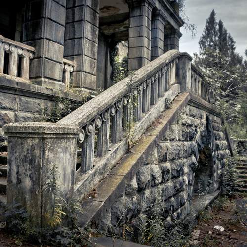 Photo #12663452
